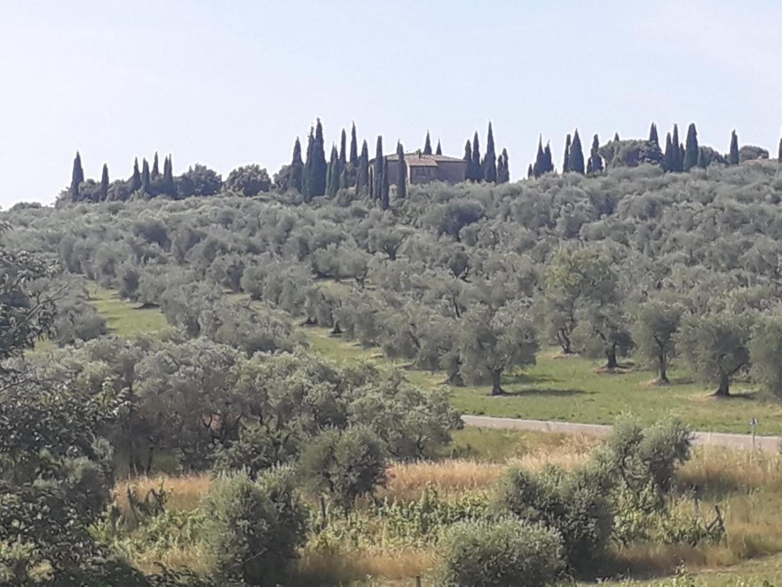 La Duchessa, Tenuta Donna Olga Apartamento Porrona Exterior foto